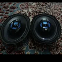 باند سونی اصلی|صوتی و تصویری|مشهد, فلسطین|دیوار