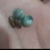سرکتاب و دعا