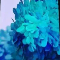 گوشی سامسونگ s20fe