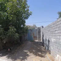 زمین ملکی دور دیوار|فروش زمین و ملک کلنگی|مشهد, شهید بصیر|دیوار