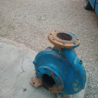 خنزیره آب