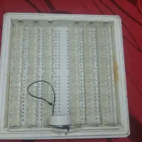دستگاه جوجه کشی