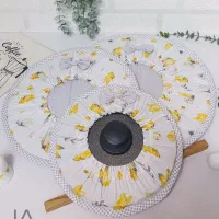 کاور قابلمه پروانه طوسی