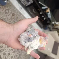 مرغ عشق سرلاکی
