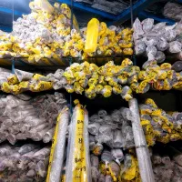 فرش۱۲متری انباربزرگ پخش ارزان قیمت حاجی حسینی طلاب