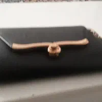 کیف مجلسی