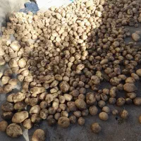 خوردنی واشامیدنی