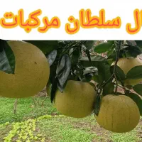 گل و نهال درخت