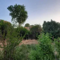 باغ مهریز ۲۹۰ متر موقعیت تجاری..مسکونی