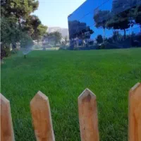 باغبانی و فضای سبز|خدمات باغبانی و درختکاری|کرج, کمال‌شهر|دیوار