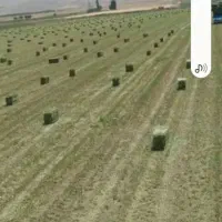 یونجه پرس خالص کیلویی ۴۶هزهر