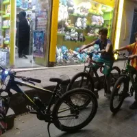 دوچرخه ۲۶ جاینت اصلی