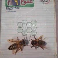 کتاب تیزهوشان نهم|کتاب و مجله آموزشی|شیراز, شهرک امام حسین|دیوار