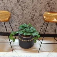 صندلی اپنی چوب بلوط|صندلی و نیمکت|تهران, مینای جنوبی|دیوار