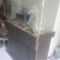 آکواریوم فروشی