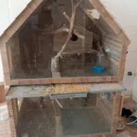 قفس قناری  عروس فنج و...