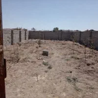 فروش باغچه