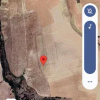 فروش 2دانگ از باغ بادام 8هکتاری  با 3هزار نهال با|فروش دفتر صنعتی، کشاورزی، تجاری|آوج, |دیوار