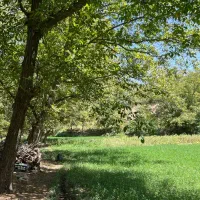 استخدام کارشناس فروش