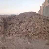 بارمرغ وگوسفند قر قاتیه|حیوانات مزرعه|سبزوار, گلشن|دیوار