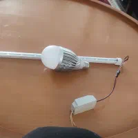 لامپ و مهتابی رشد گل و گیاه