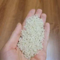 برنج فجر سوزنی بدون سورت