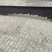 کتیبه دست دو تر تمیز|پرده، رانر، رومیزی|آزادشهر, |دیوار