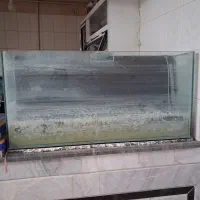 آکواریوم