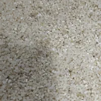 برنج  درشت هاشمی .نیم دانه هاشمی .ریزه هاشمی|خوردنی و آشامیدنی|رشت, جانبازان|دیوار