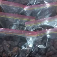 خرما|عمده‌فروشی|مرودشت, ولایت|دیوار