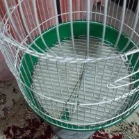 قفس پرنده|لوازم جانبی حیوانات|کرمانشاه, |دیوار