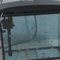 آکواریوم  ماهیران