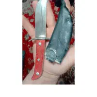 چاقو خروی فروشی