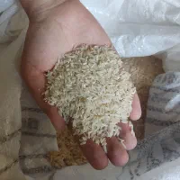 برنج محلی دره شهر