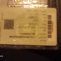 ۲۰۶اس دی دوگانه فابریک
