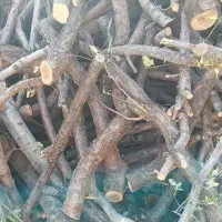 چوب میوه فروشی