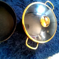 همگی در حد عالی