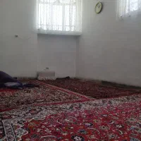 همخونه سالم بدون حاشیه