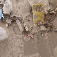 نظافت منزل آپارتمان|خدمات نظافت|گلبهار, شهر جدید گلبهار|دیوار