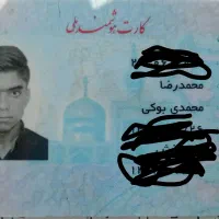 گمشده کیف کارتی بنام محمدرضا