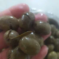 زیتون|خوردنی و آشامیدنی|اقبالیه, |دیوار