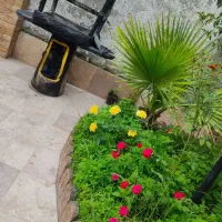 اجاره ویلا استخر دار ۲ خوابه آب گرم|اجارهٔ کوتاهمدت ویلا و باغ|رشت, دیلمان|دیوار