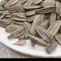 پخش تخمه آفتابگردان