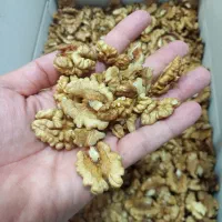 مغز گردو درجه یک ( پخش عمده )