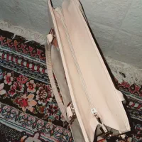 گل حسن یوسف و گل پتوس تازه و یک عدد کیف کرمی نو|کیف، کفش، کمربند|شیراز, گویم|دیوار