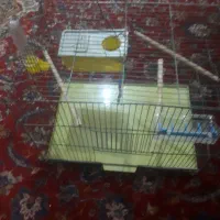 قفس|لوازم جانبی حیوانات|دزفول, |دیوار