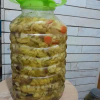 ترشیجات مهدی