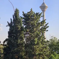 180-متر-ایران-زمین-آپارتمان-ویلا
