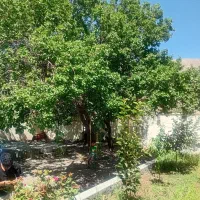زمین-باغی-250-متر-خیابان-توحید-4