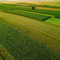 وکیل پرونده های املاک و اراضی.اختلاف ملکی